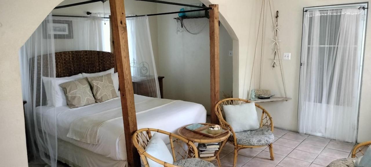 Casa De Tortuga Guesthouse В'єкес Номер фото